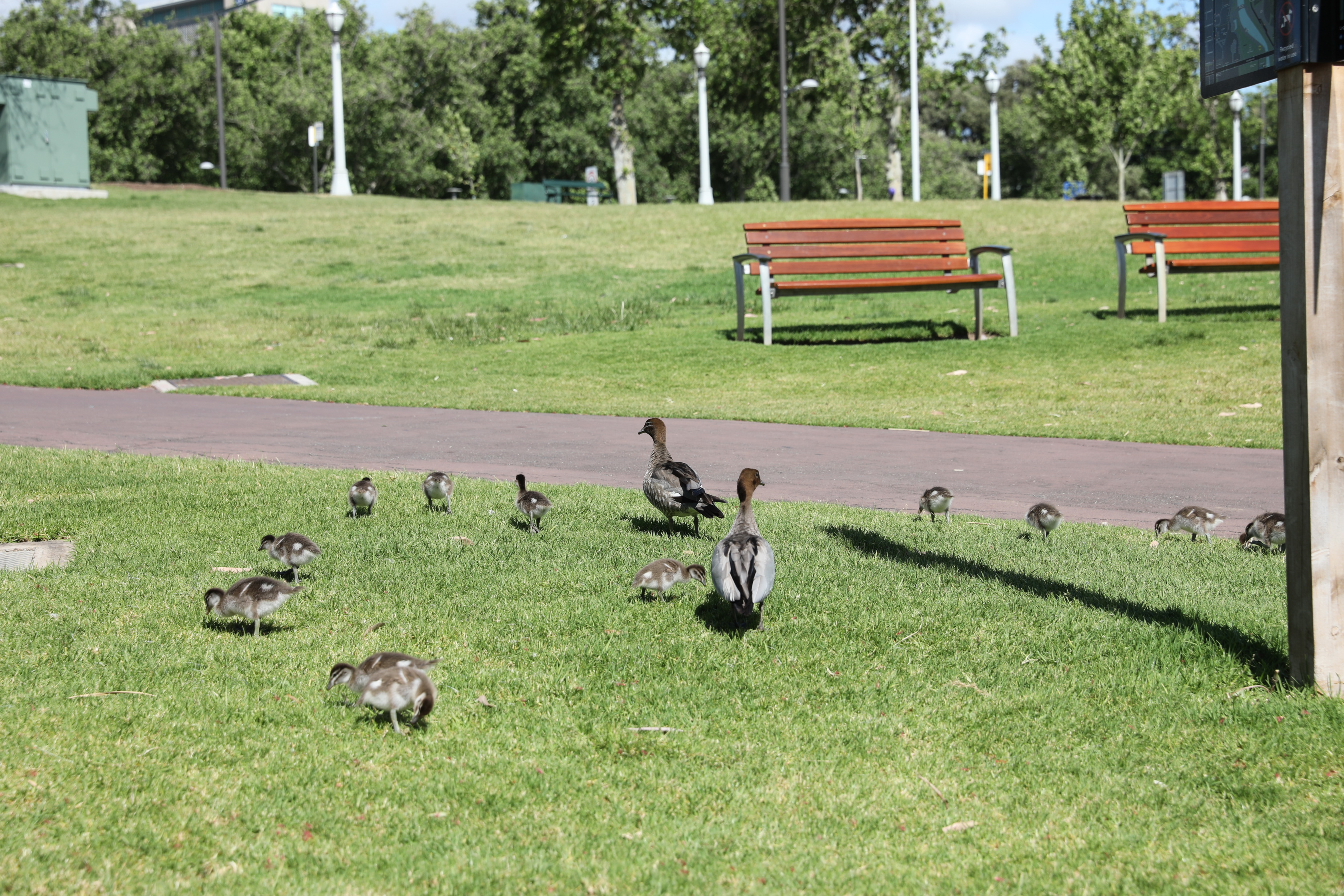 2019 10 27 15 43 16 Canon EOS 5D Mark IV 0005